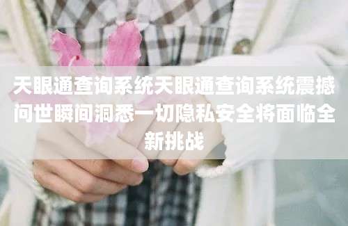 天眼通查询系统天眼通查询系统震撼问世瞬间洞悉一切隐私安全将面临全新挑战