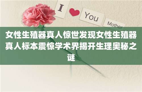 女性生殖器真人惊世发现女性生殖器真人标本震惊学术界揭开生理奥秘之谜
