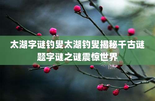 太湖字谜钓叟太湖钓叟揭秘千古谜题字谜之谜震惊世界