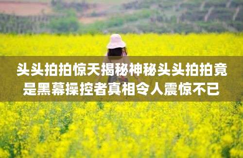 头头拍拍惊天揭秘神秘头头拍拍竟是黑幕操控者真相令人震惊不已