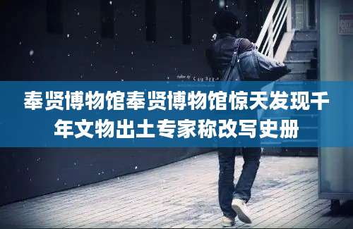 奉贤博物馆奉贤博物馆惊天发现千年文物出土专家称改写史册
