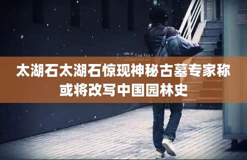 太湖石太湖石惊现神秘古墓专家称或将改写中国园林史