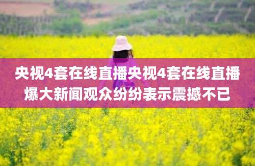 央视4套在线直播央视4套在线直播爆大新闻观众纷纷表示震撼不已