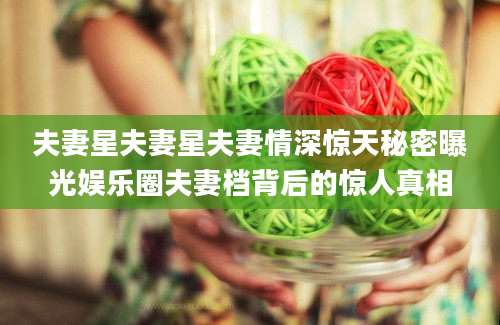 夫妻星夫妻星夫妻情深惊天秘密曝光娱乐圈夫妻档背后的惊人真相