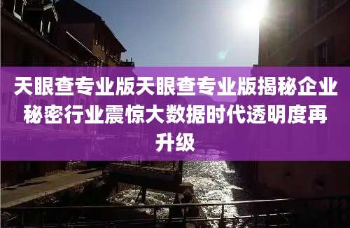 天眼查专业版天眼查专业版揭秘企业秘密行业震惊大数据时代透明度再升级
