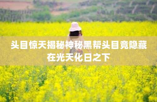头目惊天揭秘神秘黑帮头目竟隐藏在光天化日之下