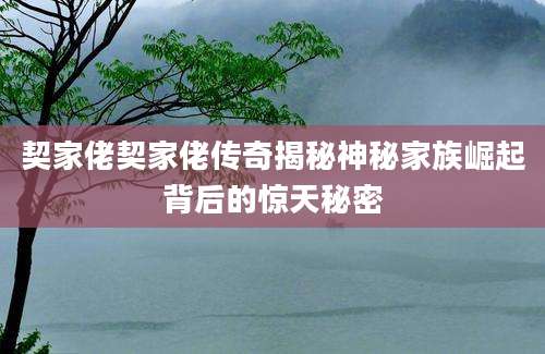 契家佬契家佬传奇揭秘神秘家族崛起背后的惊天秘密