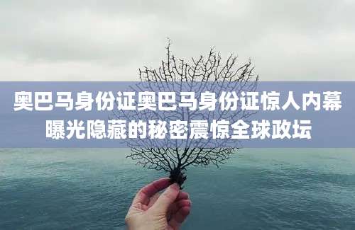 奥巴马身份证奥巴马身份证惊人内幕曝光隐藏的秘密震惊全球政坛