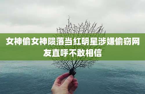 女神偷女神陨落当红明星涉嫌偷窃网友直呼不敢相信
