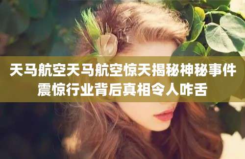 天马航空天马航空惊天揭秘神秘事件震惊行业背后真相令人咋舌