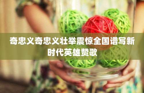 奇忠义奇忠义壮举震惊全国谱写新时代英雄赞歌