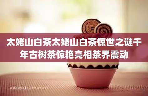 太姥山白茶太姥山白茶惊世之谜千年古树茶惊艳亮相茶界震动