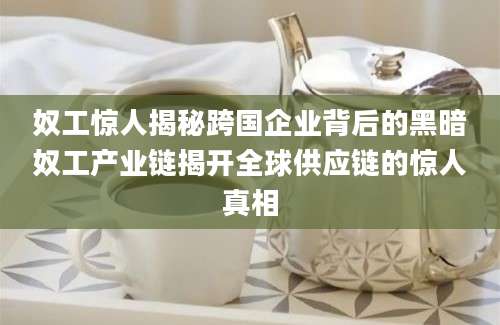 奴工惊人揭秘跨国企业背后的黑暗奴工产业链揭开全球供应链的惊人真相