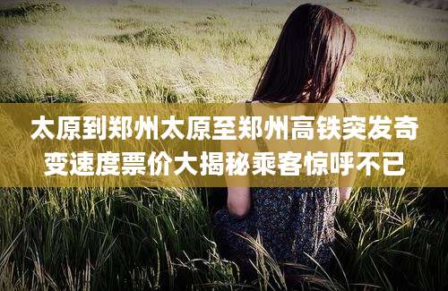 太原到郑州太原至郑州高铁突发奇变速度票价大揭秘乘客惊呼不已