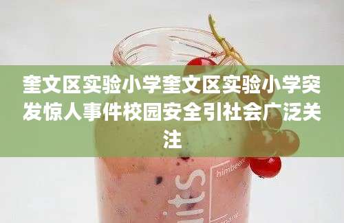奎文区实验小学奎文区实验小学突发惊人事件校园安全引社会广泛关注