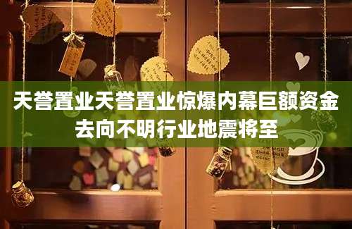 天誉置业天誉置业惊爆内幕巨额资金去向不明行业地震将至