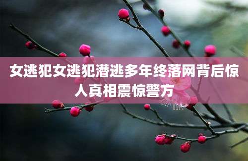 女逃犯女逃犯潜逃多年终落网背后惊人真相震惊警方
