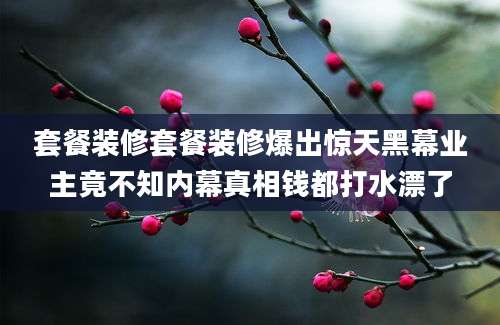 套餐装修套餐装修爆出惊天黑幕业主竟不知内幕真相钱都打水漂了