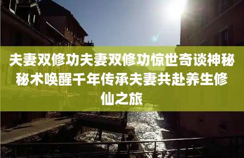 夫妻双修功夫妻双修功惊世奇谈神秘秘术唤醒千年传承夫妻共赴养生修仙之旅