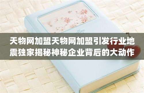 天物网加盟天物网加盟引发行业地震独家揭秘神秘企业背后的大动作