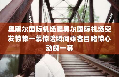 奥黑尔国际机场奥黑尔国际机场突发惊悚一幕惊险瞬间乘客目睹惊心动魄一幕