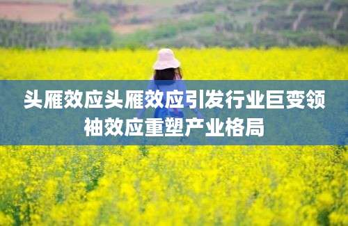 头雁效应头雁效应引发行业巨变领袖效应重塑产业格局