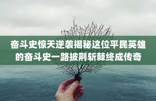 奋斗史惊天逆袭揭秘这位平民英雄的奋斗史一路披荆斩棘终成传奇