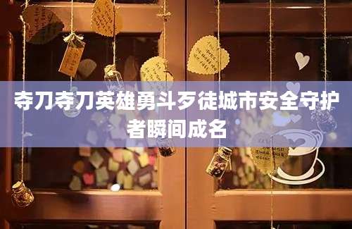 夺刀夺刀英雄勇斗歹徒城市安全守护者瞬间成名