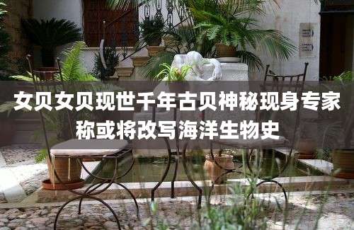 女贝女贝现世千年古贝神秘现身专家称或将改写海洋生物史