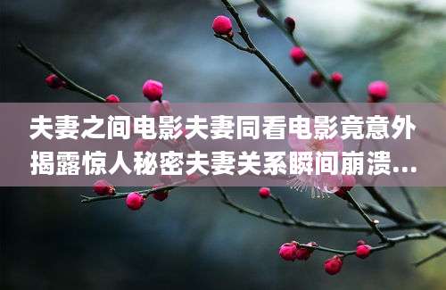 夫妻之间电影夫妻同看电影竟意外揭露惊人秘密夫妻关系瞬间崩溃...