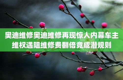奥迪维修奥迪维修再现惊人内幕车主维权遇阻维修费翻倍竟成潜规则