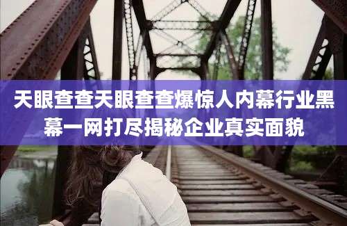 天眼查查天眼查查爆惊人内幕行业黑幕一网打尽揭秘企业真实面貌