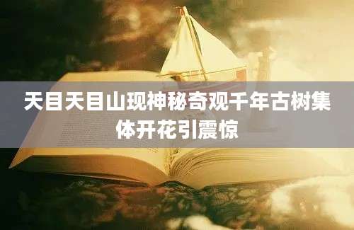 天目天目山现神秘奇观千年古树集体开花引震惊