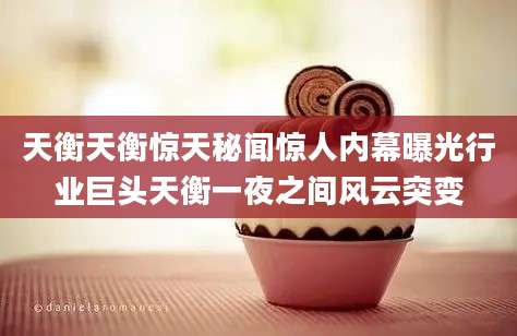 天衡天衡惊天秘闻惊人内幕曝光行业巨头天衡一夜之间风云突变