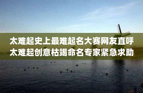 太难起史上最难起名大赛网友直呼太难起创意枯竭命名专家紧急求助
