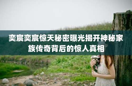 奕宸奕宸惊天秘密曝光揭开神秘家族传奇背后的惊人真相