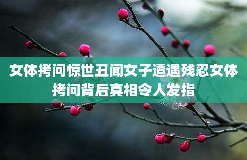 女体拷问惊世丑闻女子遭遇残忍女体拷问背后真相令人发指