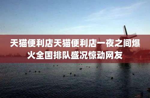 天猫便利店天猫便利店一夜之间爆火全国排队盛况惊动网友