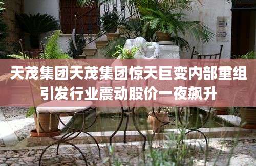 天茂集团天茂集团惊天巨变内部重组引发行业震动股价一夜飙升