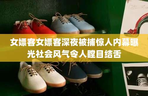 女嫖客女嫖客深夜被捕惊人内幕曝光社会风气令人瞠目结舌
