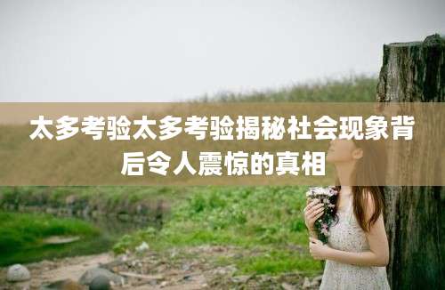 太多考验太多考验揭秘社会现象背后令人震惊的真相