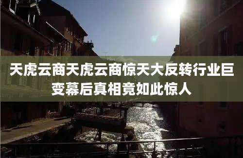 天虎云商天虎云商惊天大反转行业巨变幕后真相竟如此惊人