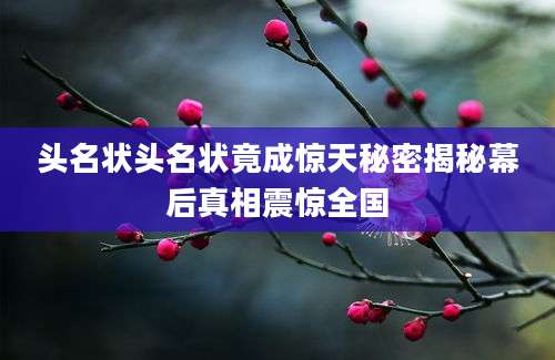 头名状头名状竟成惊天秘密揭秘幕后真相震惊全国