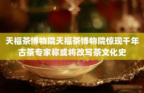 天福茶博物院天福茶博物院惊现千年古茶专家称或将改写茶文化史