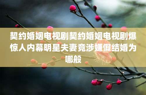 契约婚姻电视剧契约婚姻电视剧爆惊人内幕明星夫妻竟涉嫌假结婚为哪般