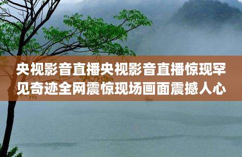 央视影音直播央视影音直播惊现罕见奇迹全网震惊现场画面震撼人心